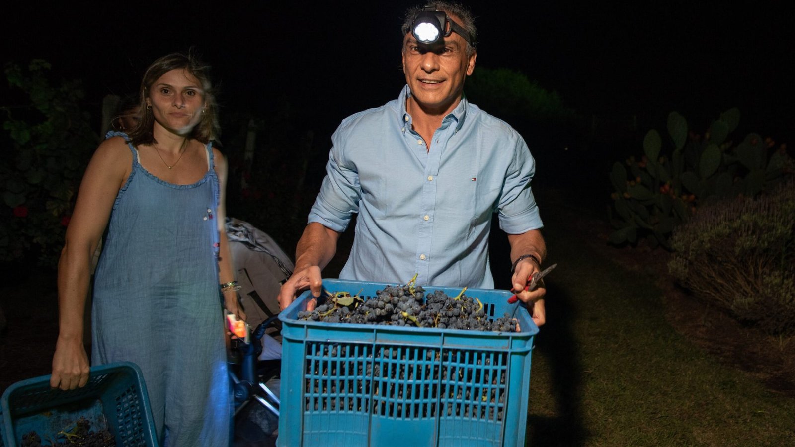 Afine Vendimia el Legado 26-02-2022-66