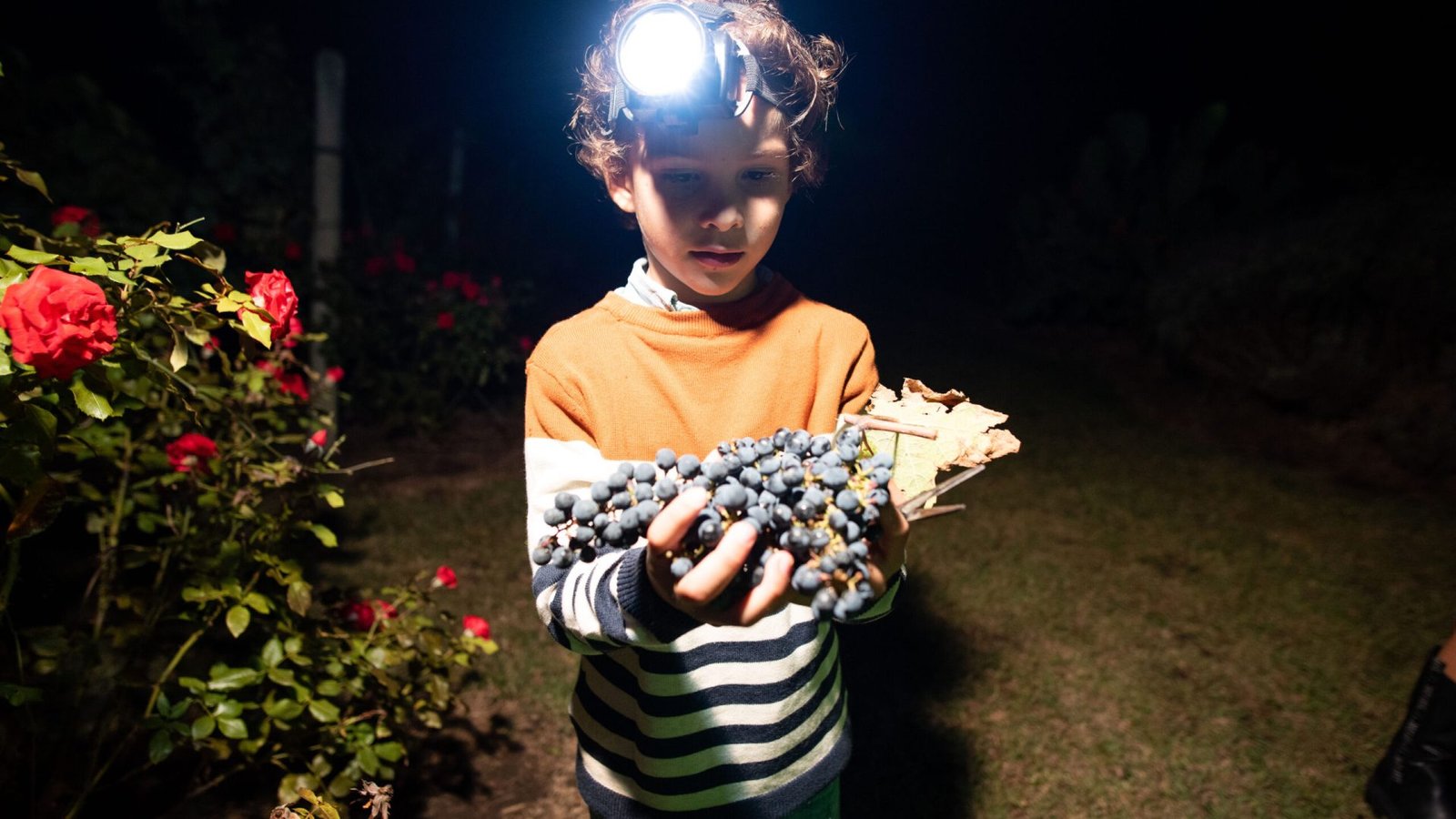 Afine Vendimia el Legado 26-02-2022-67