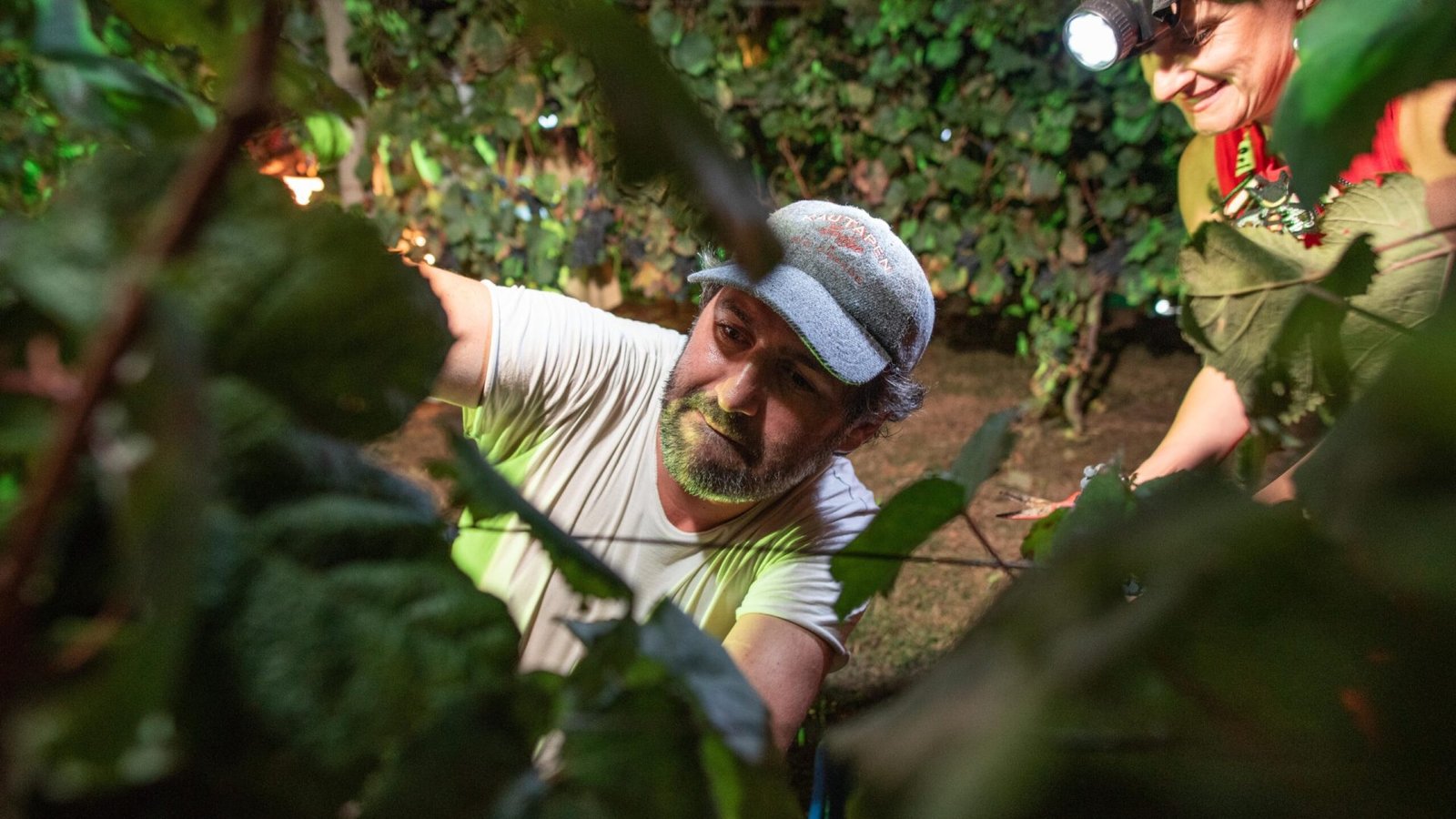 Afine Vendimia el Legado 26-02-2022-73