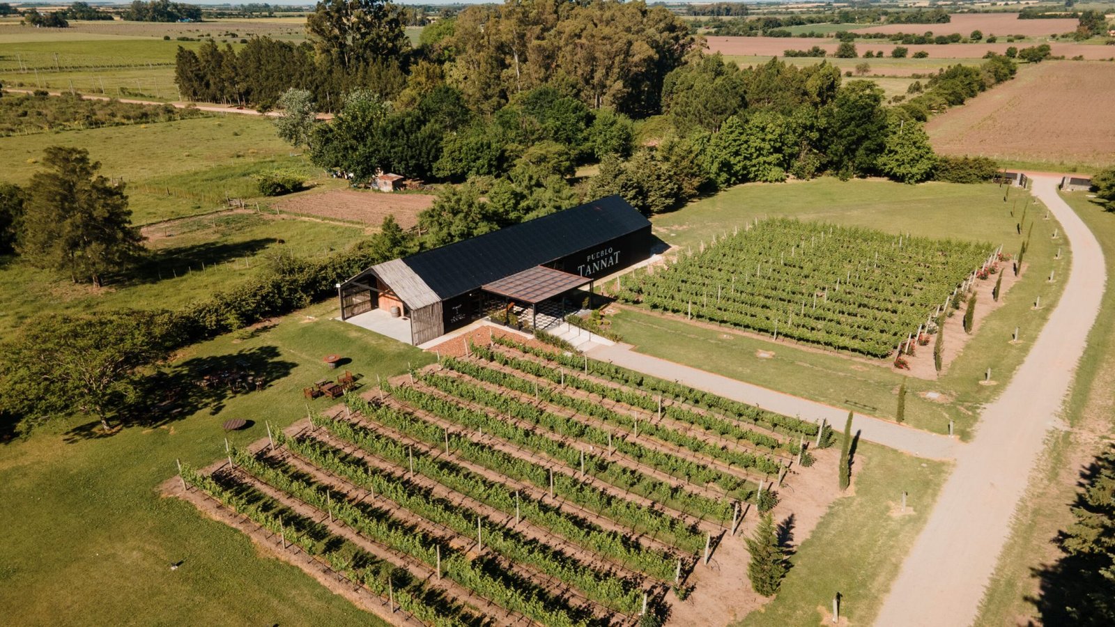 Pueblo Tannat-5