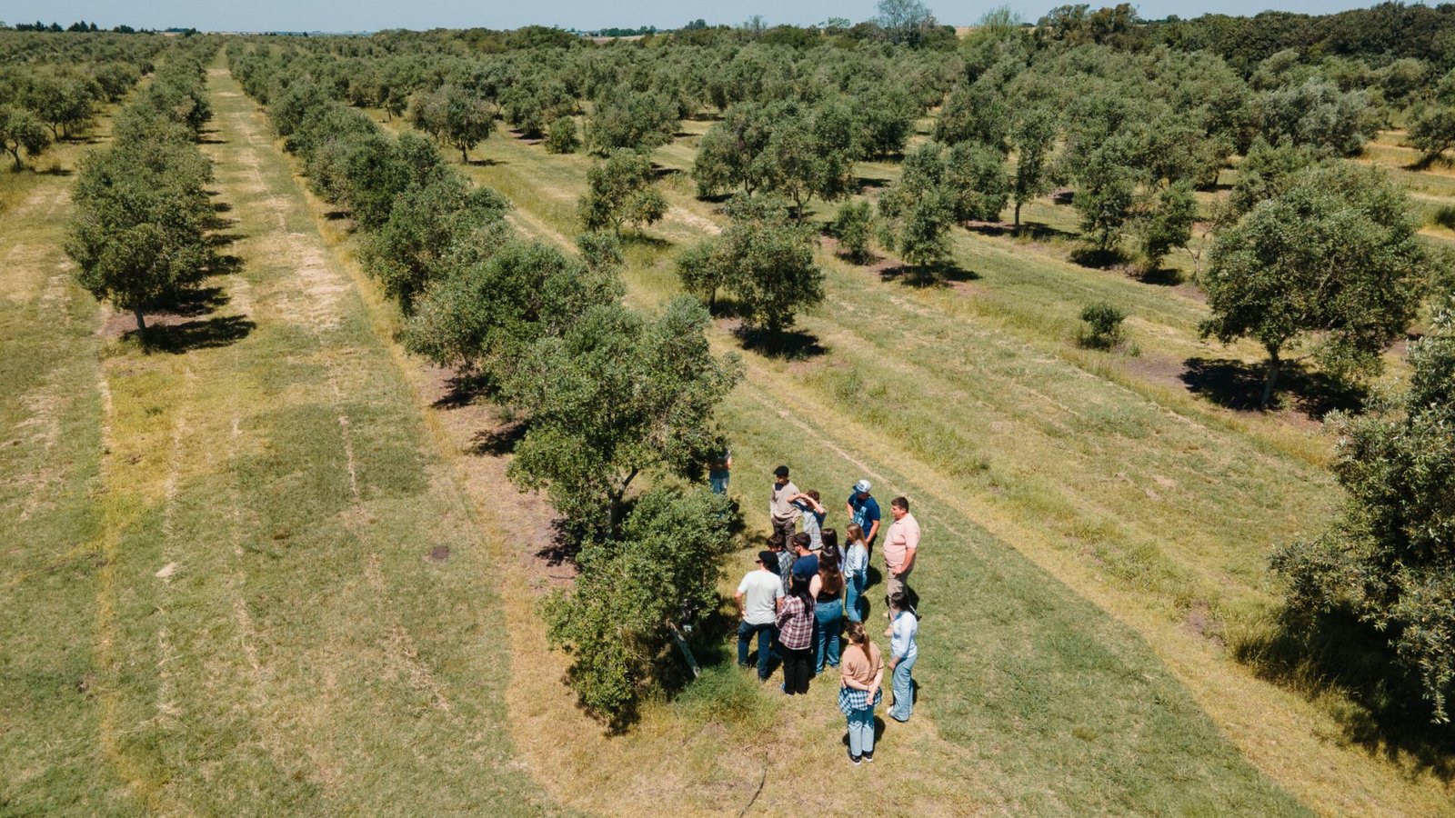 Visita Afine Longo Acto 2024-1