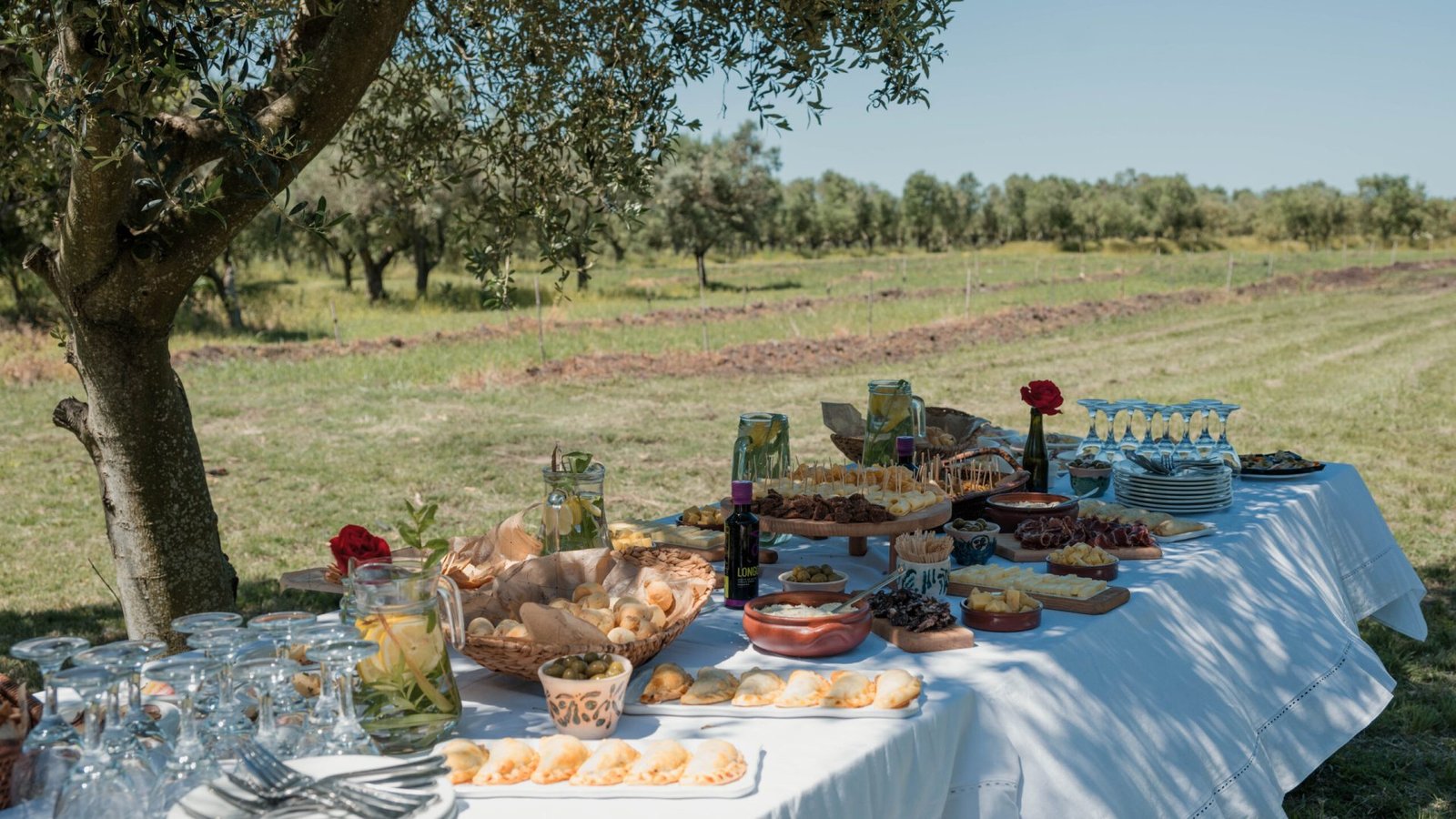 Visita Afine Longo Acto 2024-109
