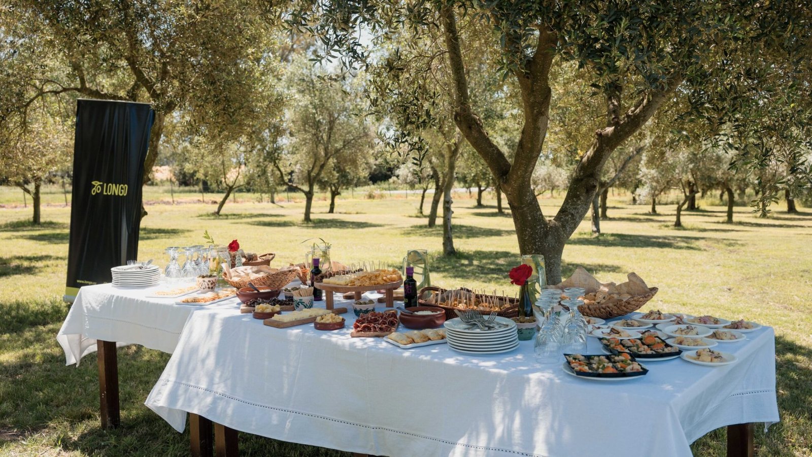 Visita Afine Longo Acto 2024-111