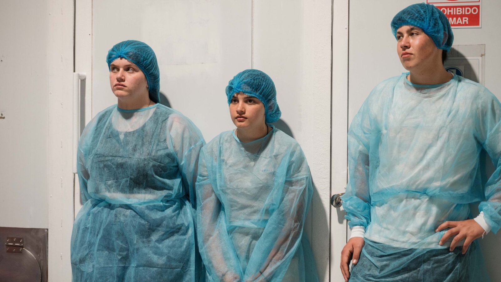 Visita Afine Longo Acto 2024-139