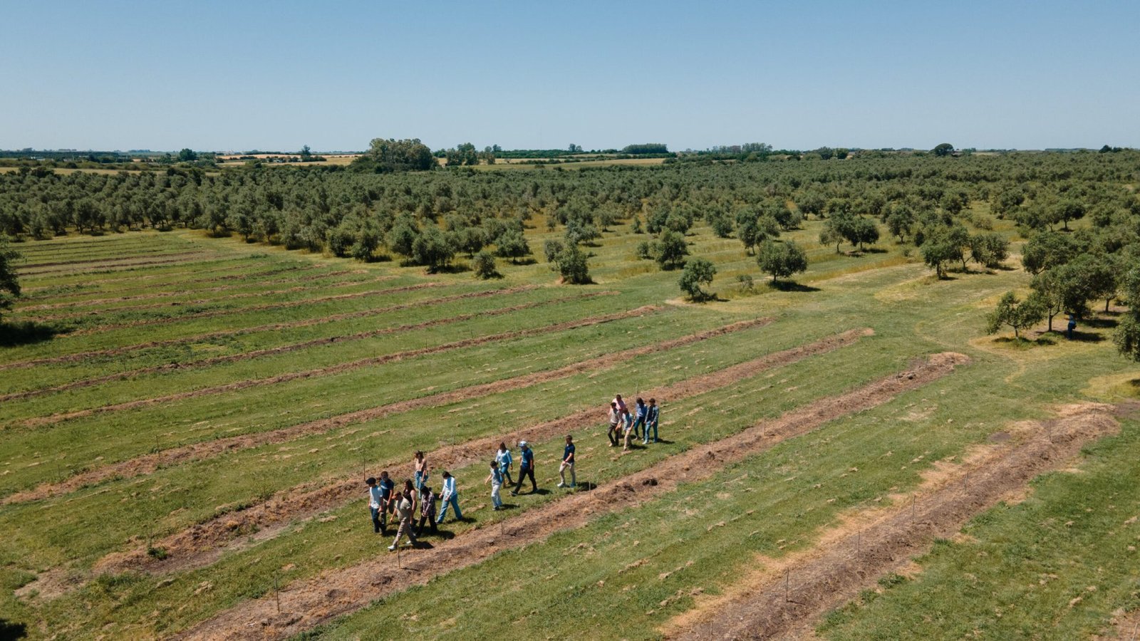 Visita Afine Longo Acto 2024-2