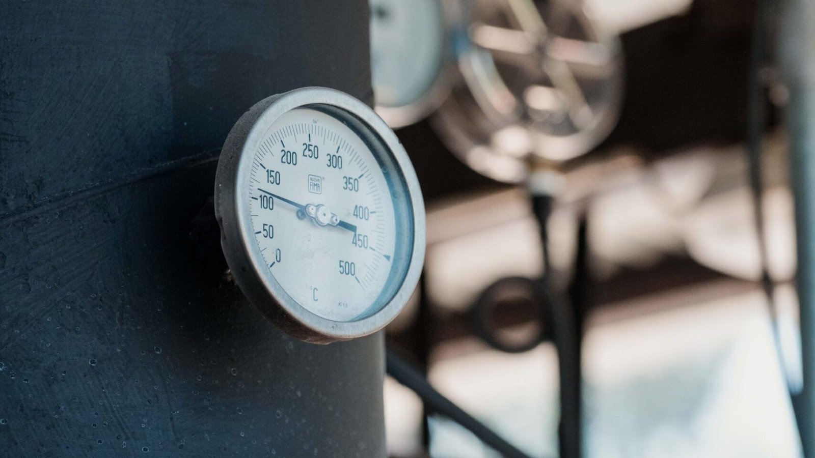 Visita Afine Longo Acto 2024-52