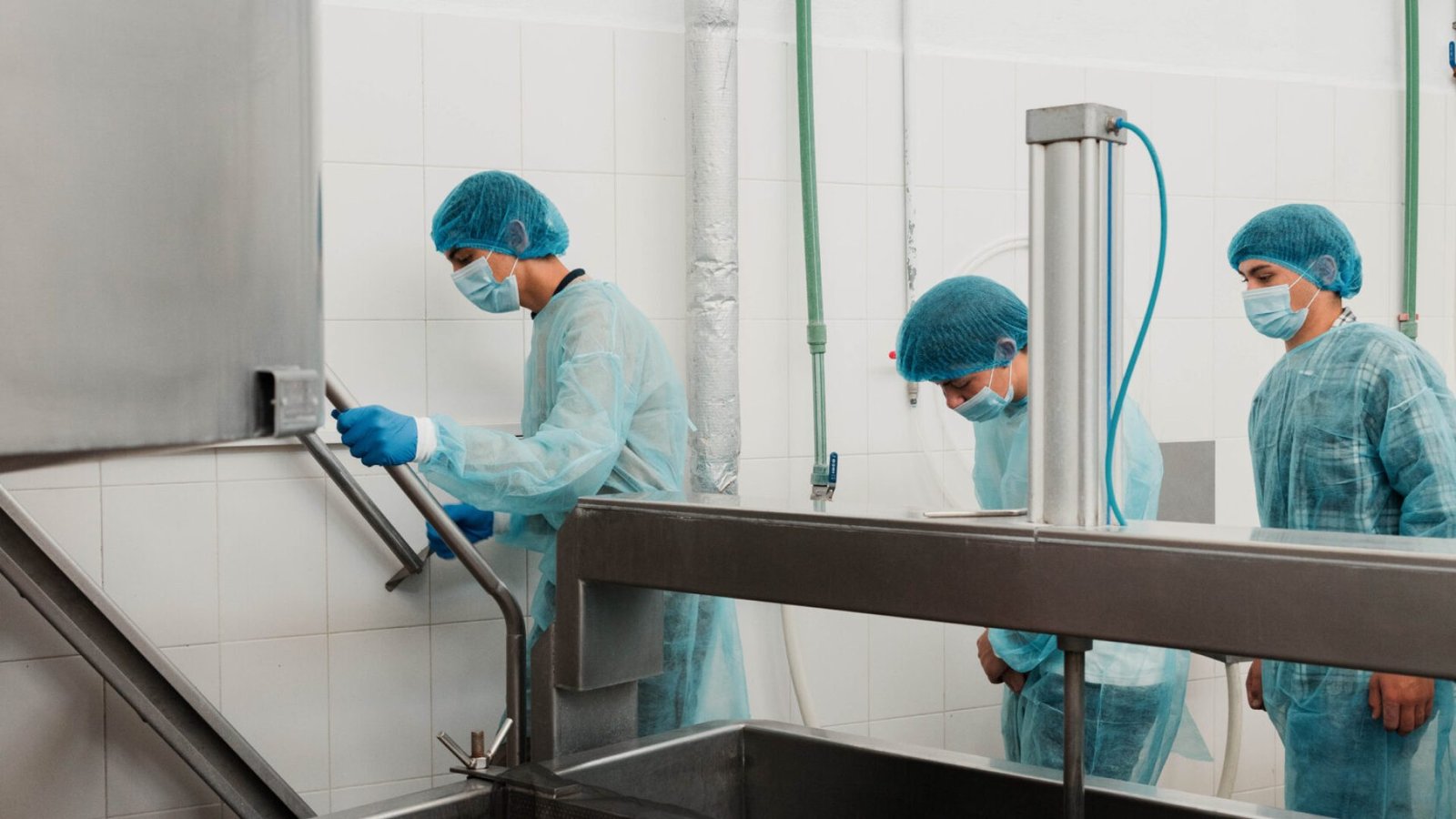 Visita Afine Longo Acto 2024-63